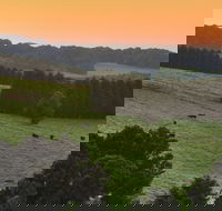 Robertson - Accommodation Mount Tamborine