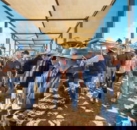 Roma - Accommodation Mount Tamborine