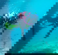 Shellharbour Scuba  and Photography Centre - Accommodation Mount Tamborine