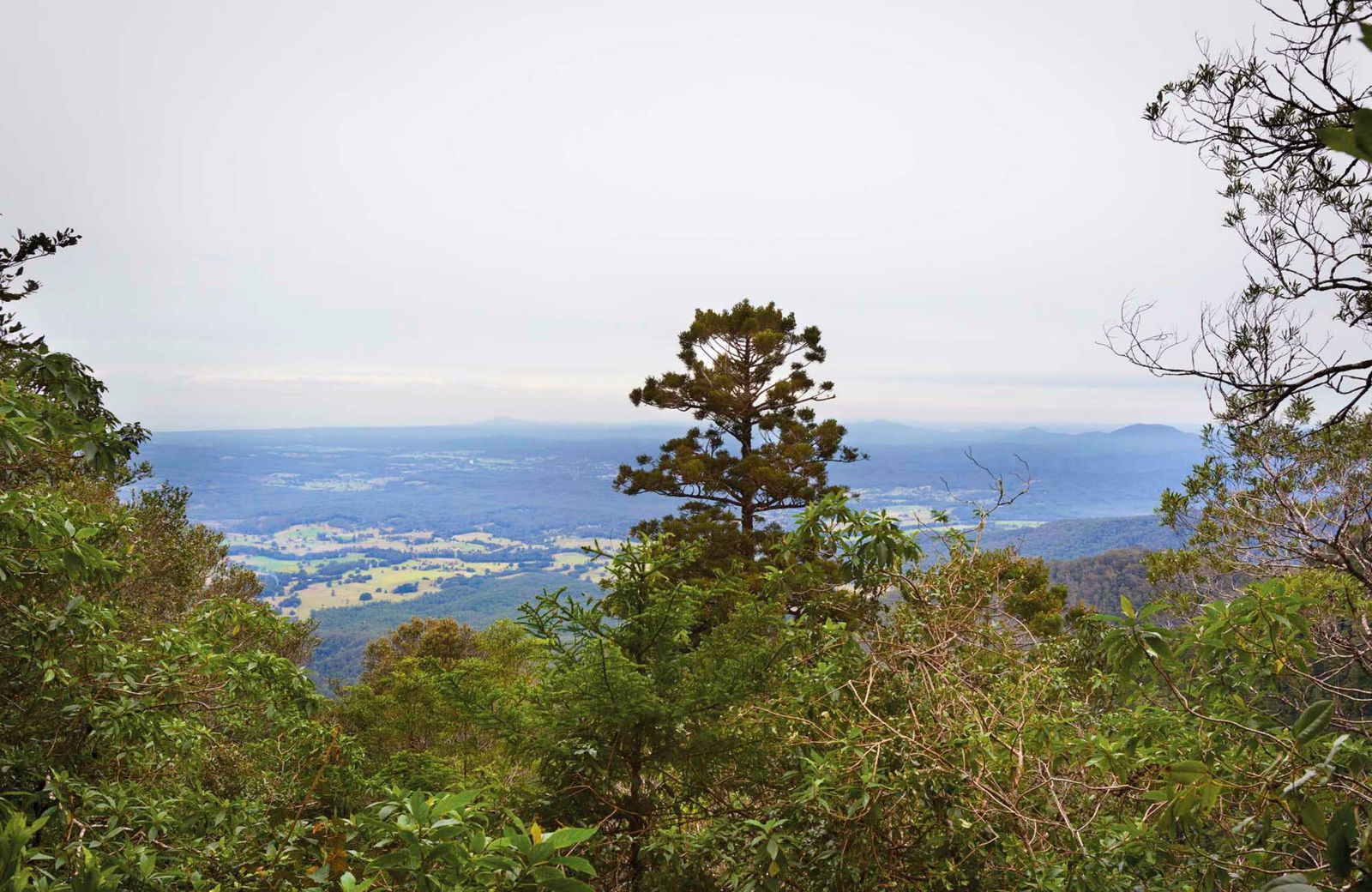 Megan NSW Accommodation Mount Tamborine