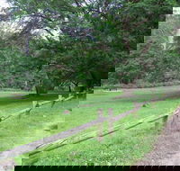 St Albans Reserve - Accommodation Mount Tamborine