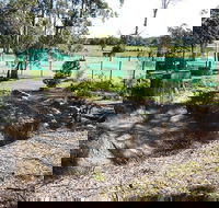 Tactical Paintball Games - Accommodation Mount Tamborine