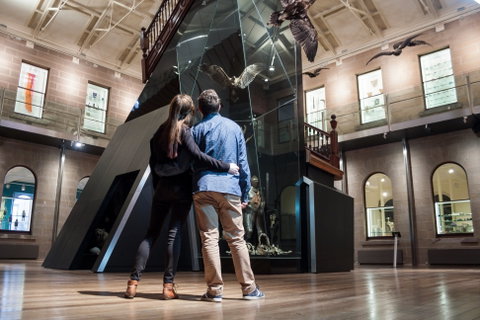 Tasmanian Museum And Art Gallery - Accommodation Mount Tamborine 1