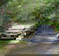 The Pioneer Valley and Eungella National Park - Accommodation Mount Tamborine
