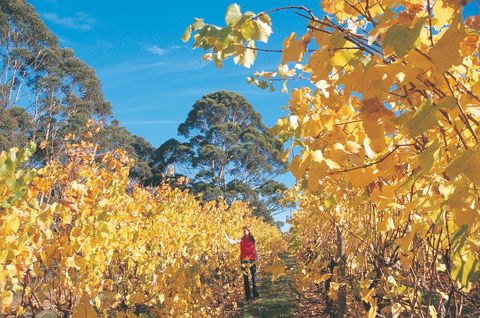 The Great Southern Drive - Accommodation Mount Tamborine 1