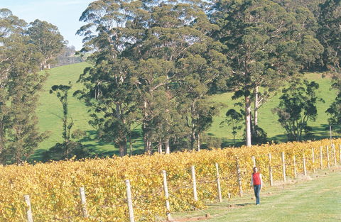 The Great Southern Drive - Accommodation Mount Tamborine 2