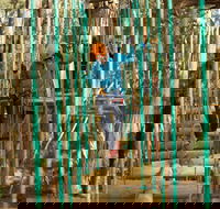 Trees Adventure Yeodene Park - Accommodation Mount Tamborine