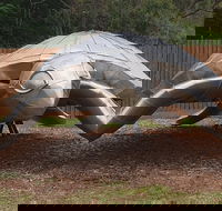 Underwater Marine Sculptures - Accommodation Mount Tamborine