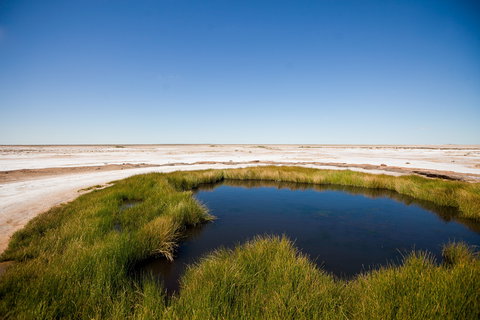 Wabma Kadarbu Mound Springs Conservation Park - Accommodation Mount Tamborine 0