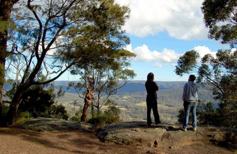 Watagans National Park - Accommodation Mount Tamborine 1