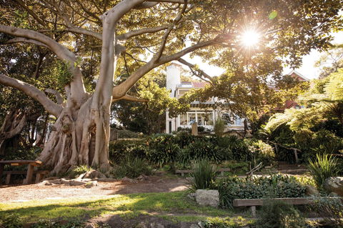 Wendy Whiteley's Secret Garden - Accommodation Mount Tamborine 0