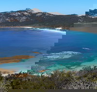 Whitemark - Accommodation Mount Tamborine