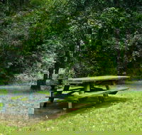 Williams River picnic area - Accommodation Mount Tamborine
