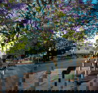 Witcombe Fountain - Accommodation Mount Tamborine