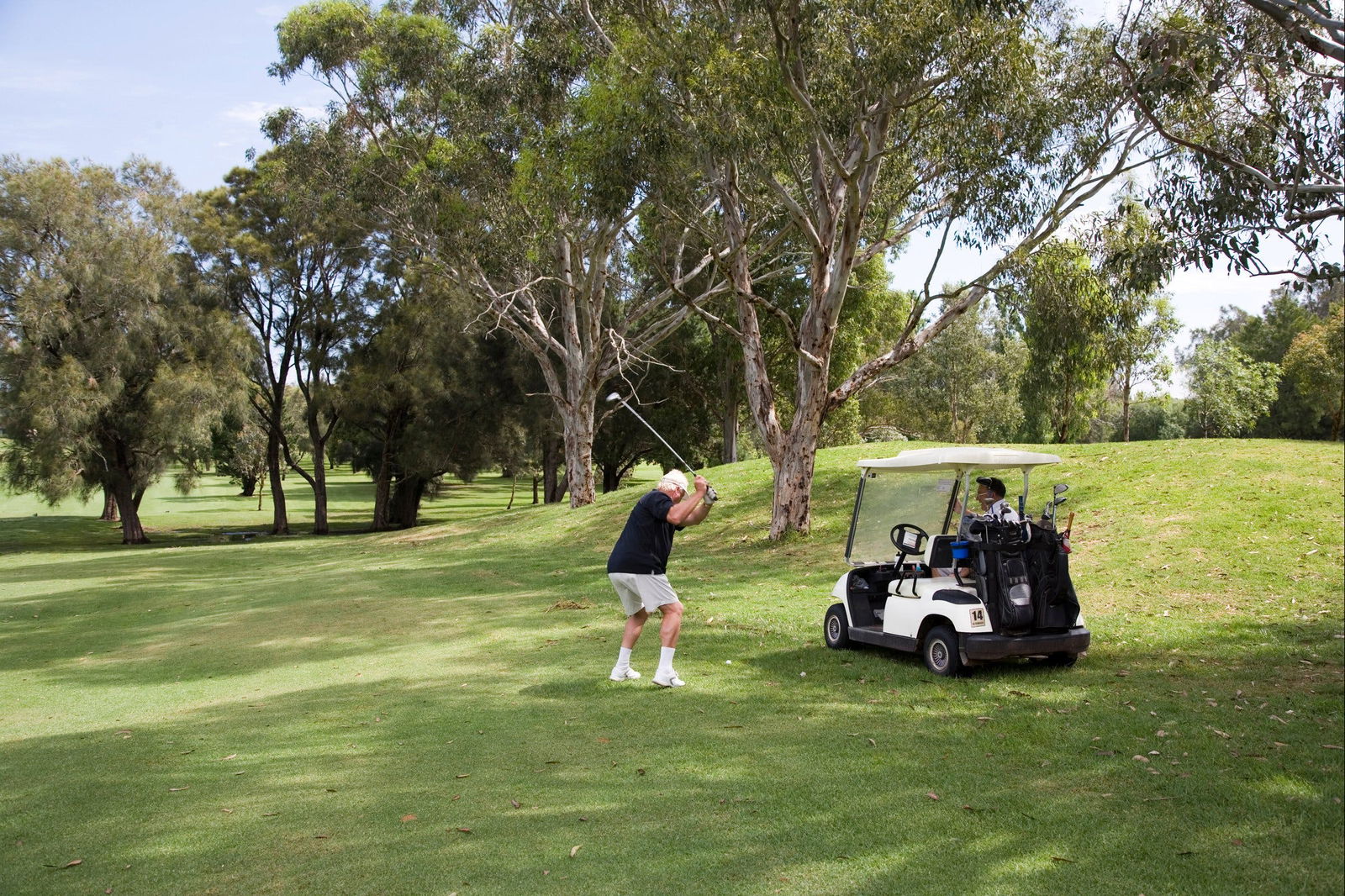 Sutherland Shire NSW Accommodation Mount Tamborine