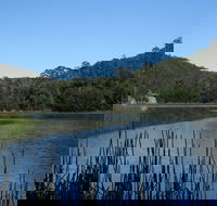 Yalwal - Accommodation Mount Tamborine