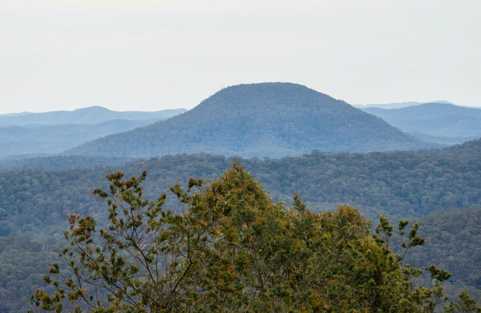 Moruben NSW Accommodation Mount Tamborine