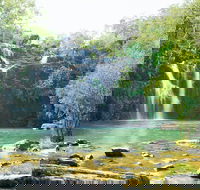 Airlie Beach to Cedar Creek Falls - Accommodation Mount Tamborine