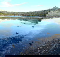Berrara Creek - Accommodation Mount Tamborine