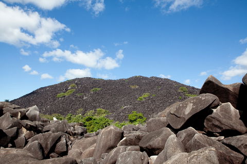 Black Mountain (Kalkajaka) National Park - Accommodation Mount Tamborine 0