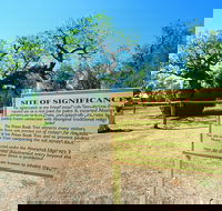 Boab Prison Tree - Accommodation Mount Tamborine