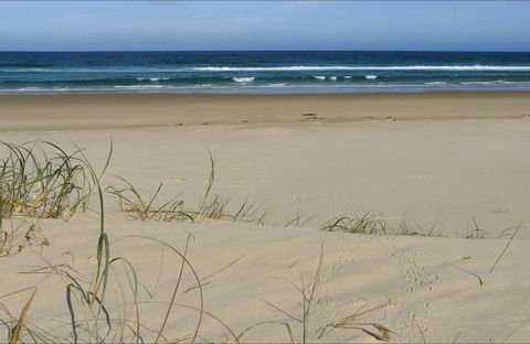 Bongil Beach - Accommodation Mount Tamborine 0