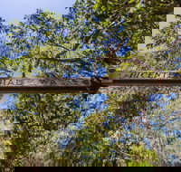 Bribie Island Bicentennial Trails - Accommodation Mount Tamborine