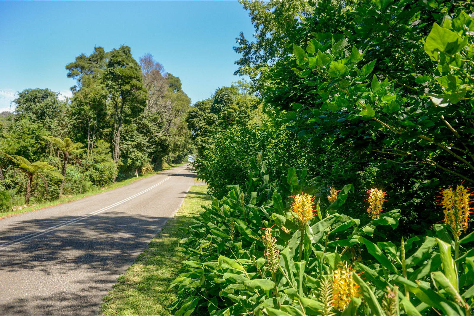 Broughton Vale NSW Accommodation Mount Tamborine