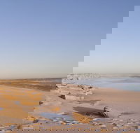 Chadinga Conservation Park - Accommodation Mount Tamborine