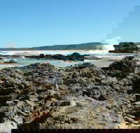Coastal Walks - Bermagui - Accommodation Mount Tamborine