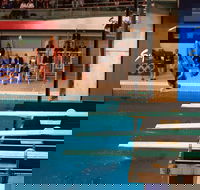 Dive Into History at Sydney Olympic Park Aquatic Centre - Accommodation Mount Tamborine
