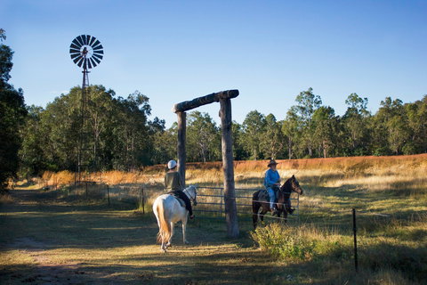 Eton - Accommodation Mount Tamborine 1