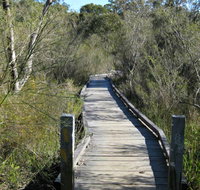 Falcon Crescent Link Track - Accommodation Mount Tamborine