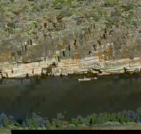Fitzroy River - Accommodation Mount Tamborine