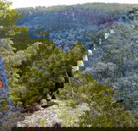 Glenbrook Gorge Track - Accommodation Mount Tamborine