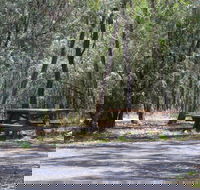 Goonoowigall State Conservation Area - Accommodation Mount Tamborine