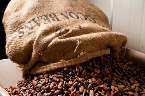 Haigh's Chocolates Visitor Centre - Accommodation Mount Tamborine 2