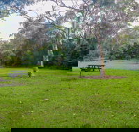 Haynes Flat picnic area - Accommodation Mount Tamborine