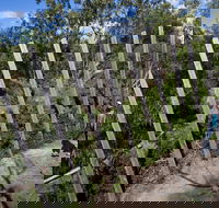 Herring Island Environmental Sculpture Park - Accommodation Mount Tamborine