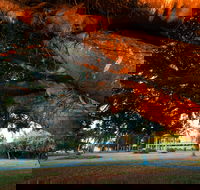 Jubilee Park Mackay - Accommodation Mount Tamborine