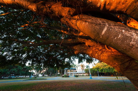 Jubilee Park, Mackay - Accommodation Mount Tamborine 0
