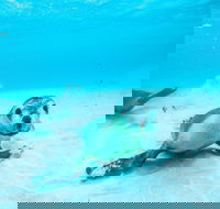 Jurien Bay - Accommodation Mount Tamborine