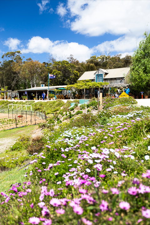 Kate's Berry Farm - Accommodation Mount Tamborine 0