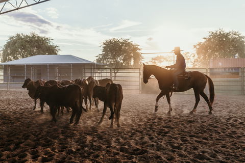 Katherine Outback Experience - Horse Riding Experience - Accommodation Mount Tamborine 2