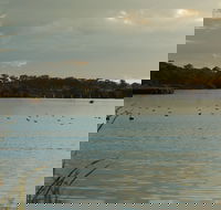 Lake Inverell Reserve - Accommodation Mount Tamborine