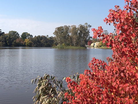 Lake Benalla - Accommodation Mount Tamborine 1