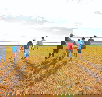 Lake Bindegolly National Park - Accommodation Mount Tamborine