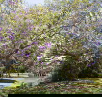 Leis Park - Accommodation Mount Tamborine