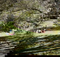 Leura Cascades picnic area - Accommodation Mount Tamborine