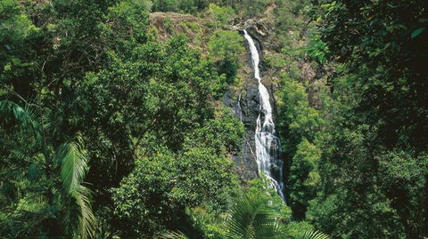Mapleton - Accommodation Mount Tamborine 0